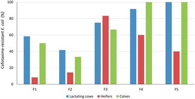 Within-farm dynamics of <mark class="highlighted">ESBL-producing Escherichia coli</mark> in dairy cattle: Resistance profiles and molecular characterization by long-read whole-genome sequencing